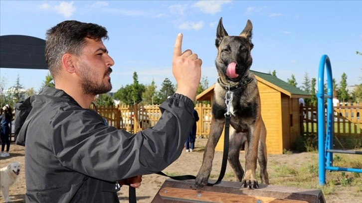 "Proteo"nun adının yaşatıldığı parkurda köpekler ücretsiz eğitiliyor