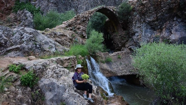 Rabat Vadisi doğası ve tarihi kalıntılarıyla turizme canlılık katıyor