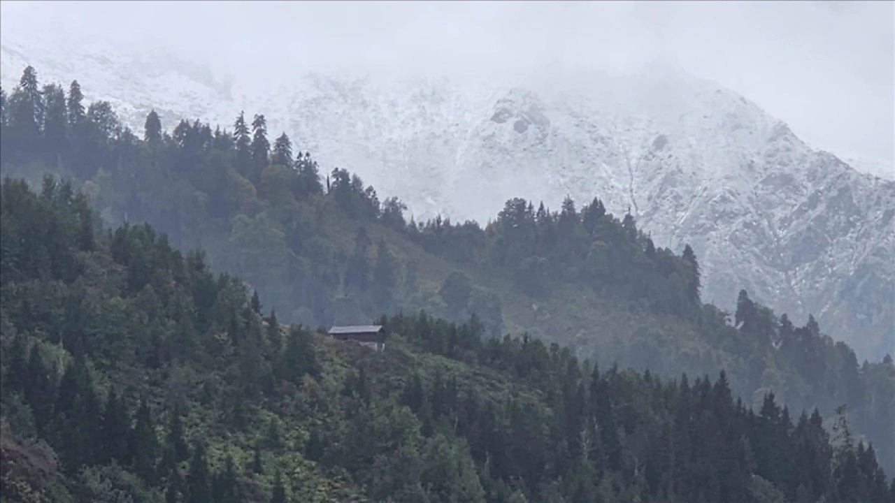 Rize, Artvin ve Ardahan'da yüksek kesimlere kar yağdı