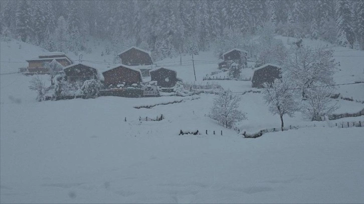 Rize, Artvin ve Bayburt'ta kar yağışı etkili oluyor