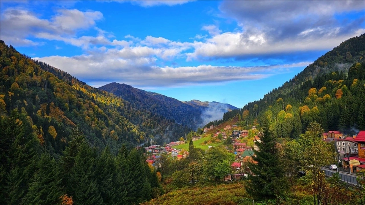 Rize'de Ayder Yaylası'nda sonbahar renkleri hakim oldu