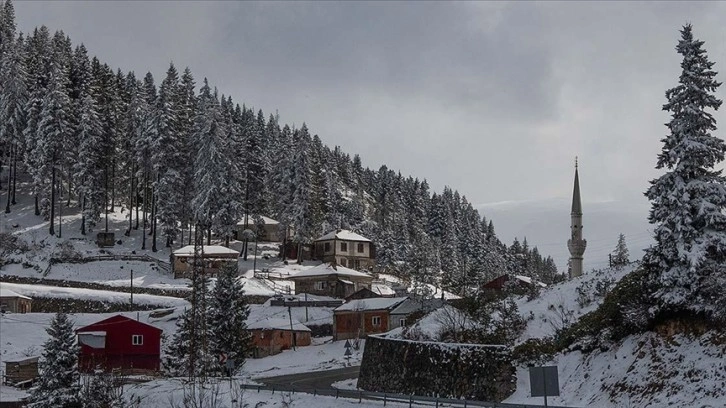 Rize, Trabzon ve Artvin'in yüksek kesimleri ilkbaharda beyaza büründü