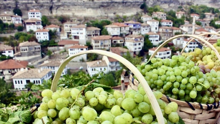 Safranbolu'nun tescilli ürünleri arasına 'çavuş üzümü' de girdi