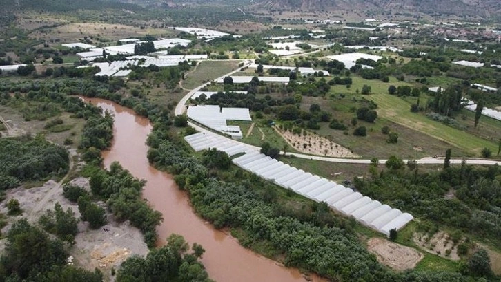 Sakarya Nehri'nden sulanan domates ve salatalıklar, üreticinin yüzünü güldürdü