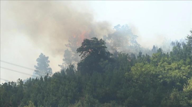 Sakarya'da çıkan orman yangını kontrol altına alındı