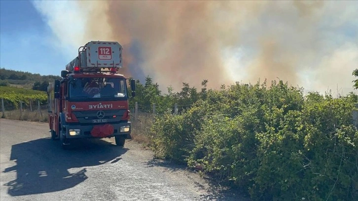 Sakarya'da ormanlık alanda çıkan yangın kontrol altına alındı