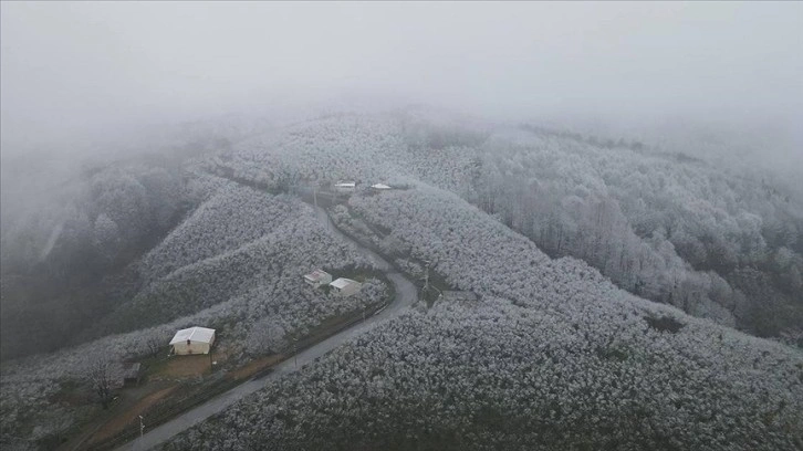 Sakarya'nın yüksek kesimlerine kar yağdı