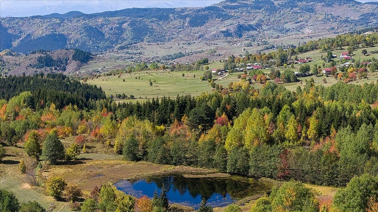 "Sakin şehir" Şavşat'ta sonbahar rengarenk