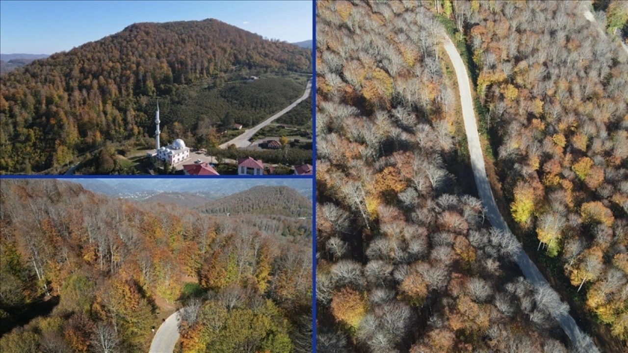 Samsun'daki Nebiyan Dağı sonbahar renklerine büründü