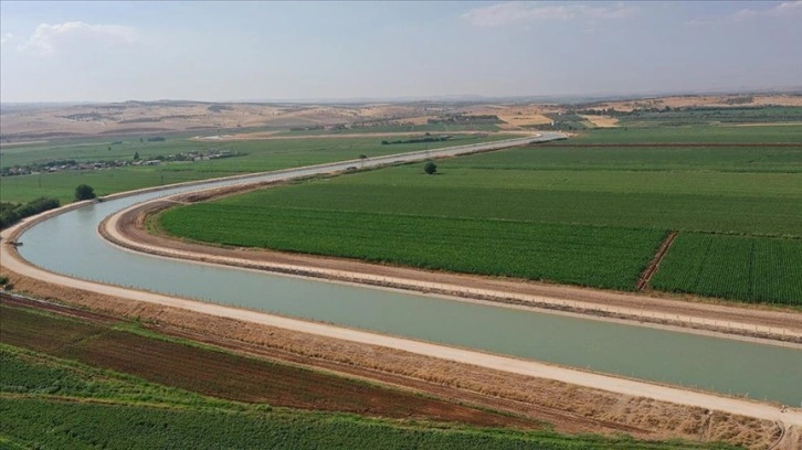 Şanlıurfa ve Mardin'deki bereketli topraklar Fırat'ın suyuyla buluştu