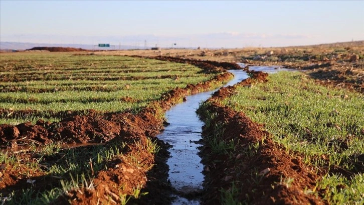 Şanlıurfa'da kuraklık tehlikesi çiftçileri endişelendiriyor