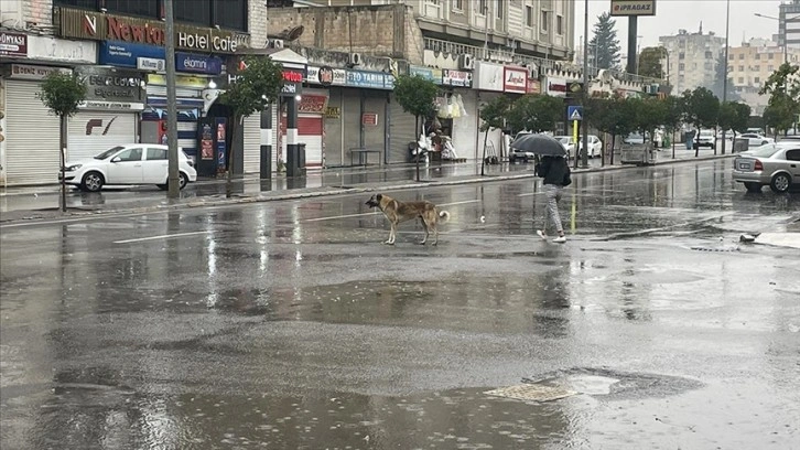 Şanlıurfa’da sağanak nedeniyle eğitime ara verildi