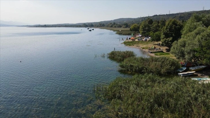 Sapanca Gölü'ndeki balık popülasyonu hayalet ağların temizlenmesiyle artacak