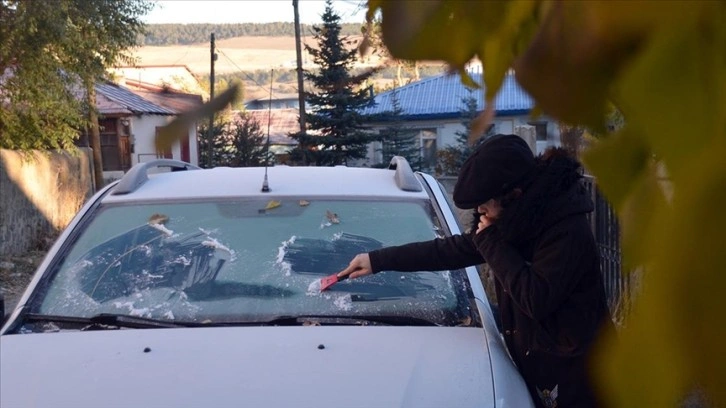 Sarıkamış'ta soğuk hava yüzünden derelerdeki şelaleler, bitkiler ve camlar dondu