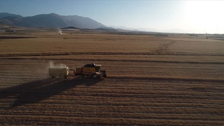 Sertifikalı tohumla ekim yapılan Van'da hububat üretiminde yüzde 75 artış bekleniyor