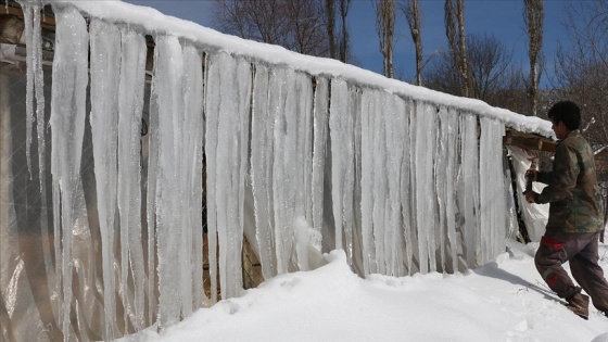 Sıcaklığın eksi 12 dereceye düştüğü Mudurnu'da dev buz sarkıtları oluştu