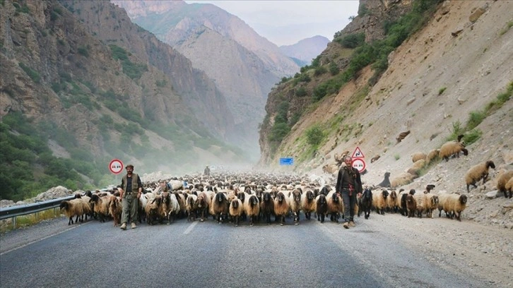 Siirtli göçerler, günler süren yolculuğun ardından Hakkari'ye ulaştı