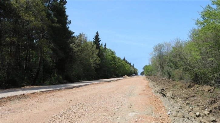 Sinop'ta denizle ormanın birleştiği tabiat parkı doğaseverlerin uğrak yeri olacak