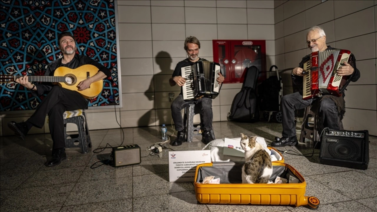 Sirkeci'de sokak sanatçılarına eşlik eden kedi yürekleri ısıtıyor