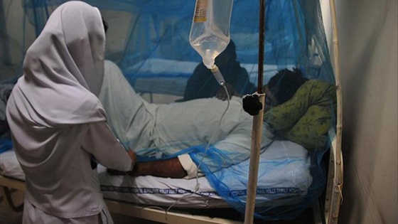 'Sıtma dünya genelinde 429 bin can aldı'