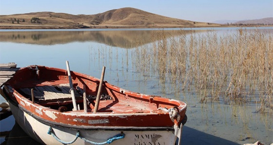 Sivas'ın kuş cenneti Tödürge Gölü'nde sonbahar