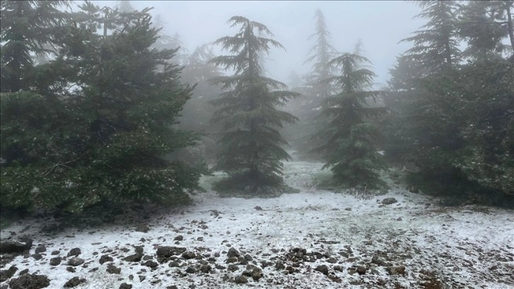 Spil Dağı'na nisanda kar yağdı