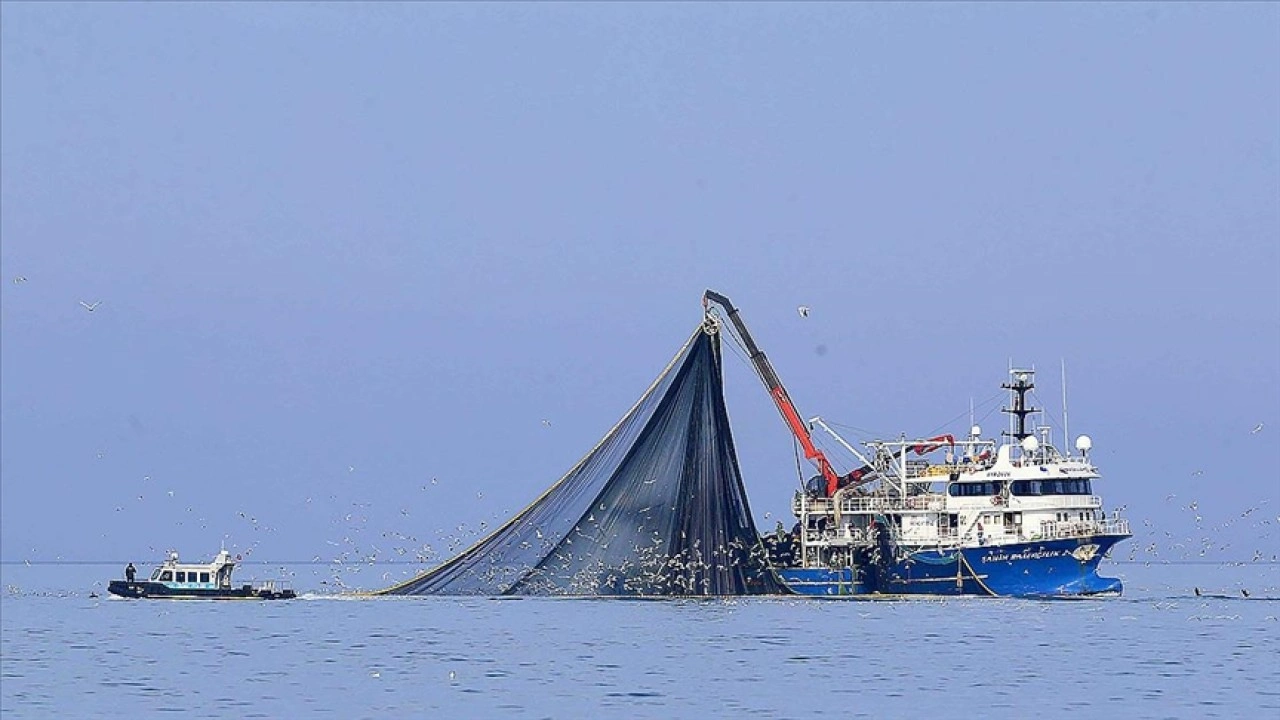 Su sıcaklığının düşmediği Karadeniz'de hamsi soğuk sulara yöneldi