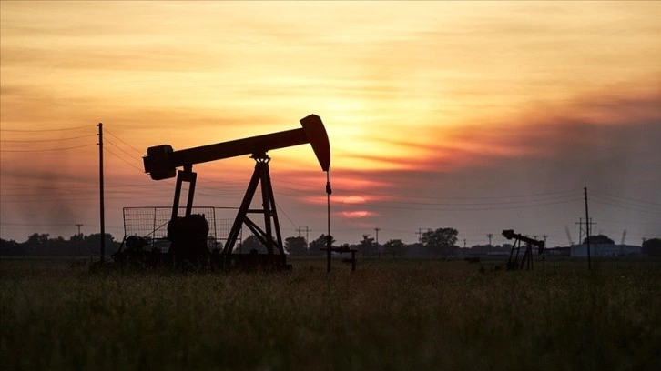 Suudi Arabistan, Cezayir ve Kuveyt, petrol üretiminde 3 ay daha 