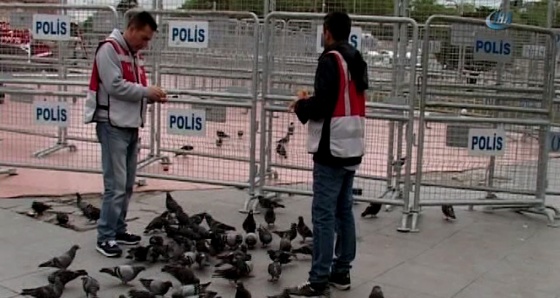 Taksim Meydanı güvercinlere kaldı