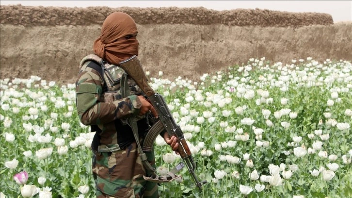Taliban'dan, haşhaş yerine sebze ekimini teşvik için et yasağı