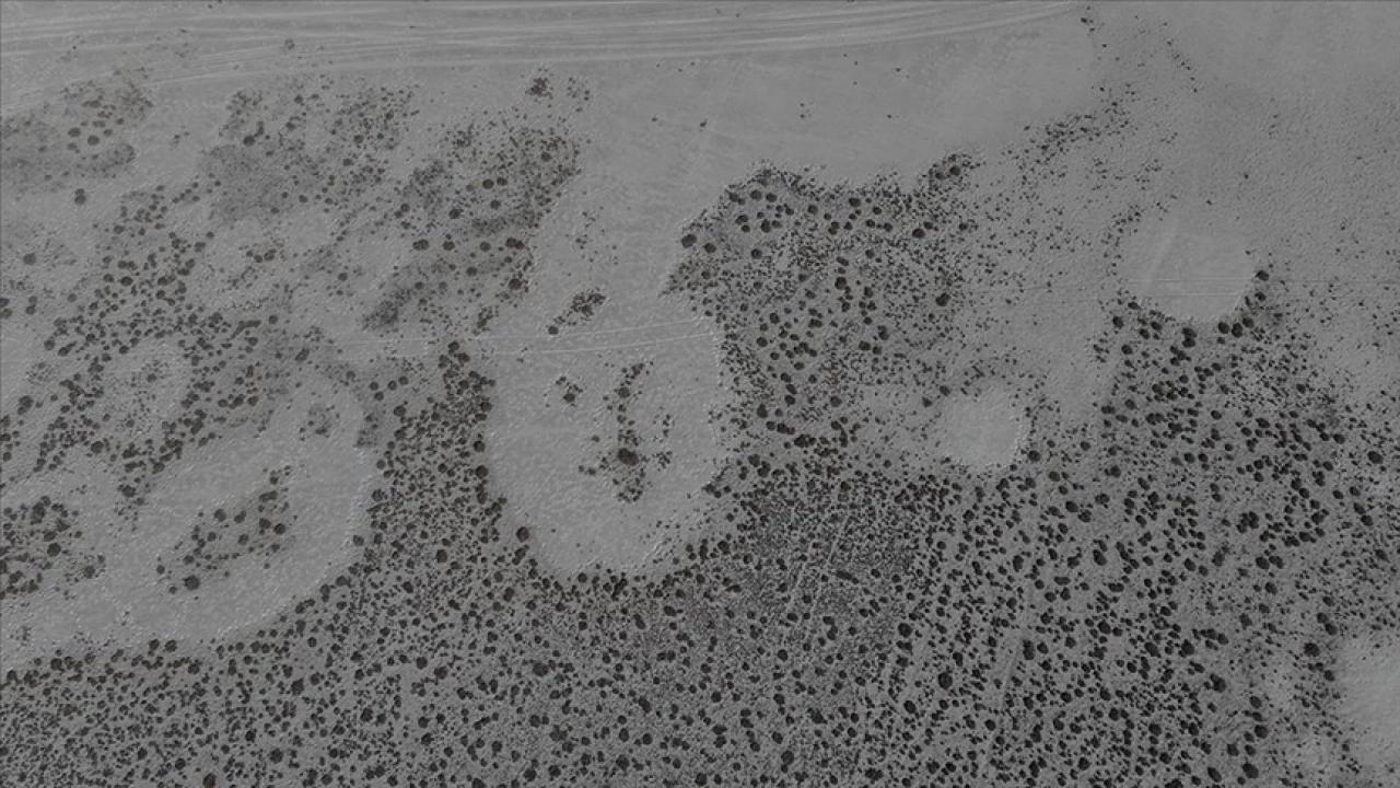 Tamamen kuruyan Seyfe Gölü Kuş Cenneti sessizliğe büründü