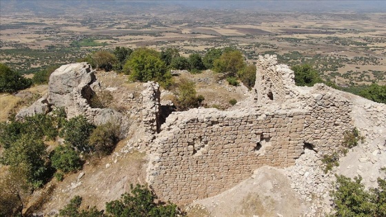 Tarihte 'Hettah Şehri' olarak bilinen Lice'nin kültür envanteri ortaya çıkarılacak