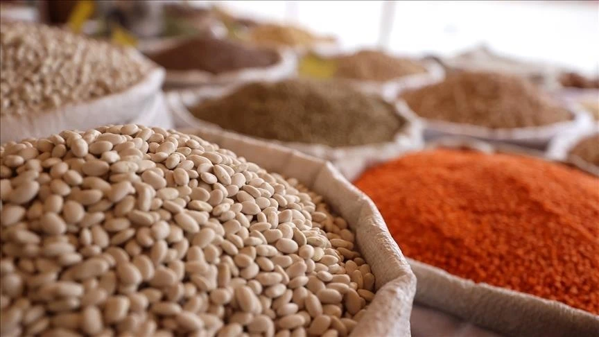 Tarım, gıda ve i&ccedil;ecek sekt&ouml;r&uuml;nden 2025'in 11 ayında 24,79 milyar dolarlık ihracat