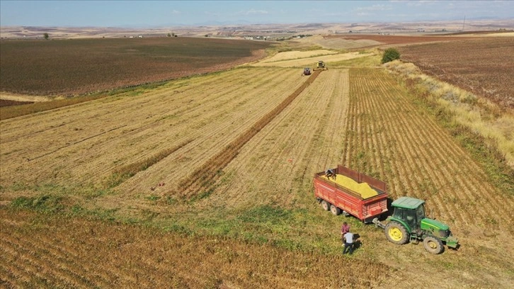 Tarım sektöründen tüm zamanların en yüksek 1. çeyrek ihracatı