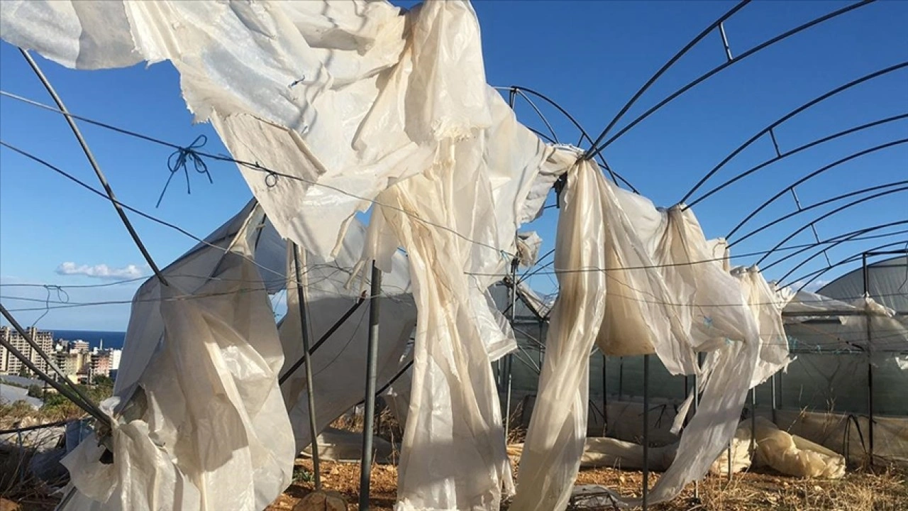 Tarım sigortaları kapsamında ekimde üreticilere 11,6 milyar lira hasar tazminatı ödendi