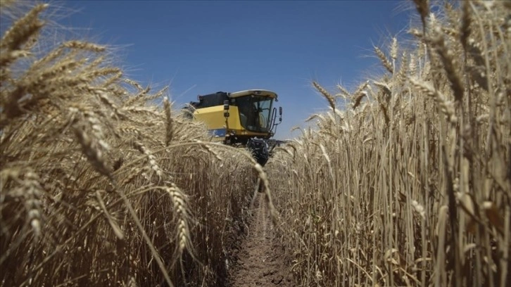 Tarım ÜFE şubatta aylık yüzde 7,18, yıllık yüzde 58,29 arttı