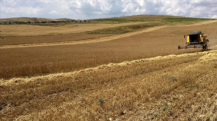 Tarım ve Orman Bakanlığı kuraklığa dayanıklı çeşitlerin ekimini yaygınlaştırıyor