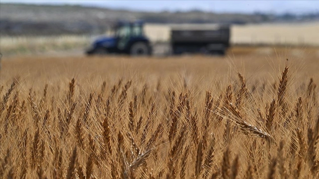Tarımsal girdi fiyat endeksi ekimde yıllık y&uuml;zde 33,66, aylık y&uuml;zde 2,04 arttı