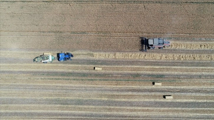 Tarımsal girdi fiyat endeksi eylülde yıllık yüzde 138,15, aylık yüzde 2,9 arttı