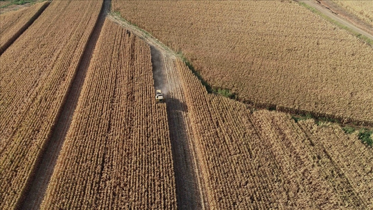 Tarımsal girdi fiyat endeksi eylülde yıllık yüzde 34,6, aylık yüzde 2,16 arttı