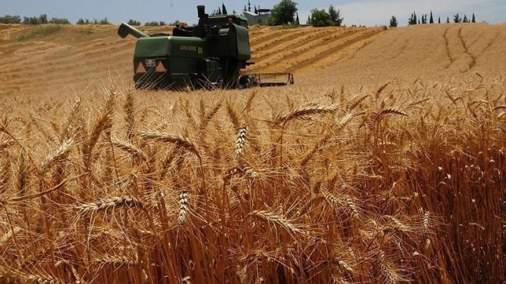 TARSİM'den çiftçilere geçen yıl 17,2 milyar lira prim desteği ve hasar tazminatı ödendi