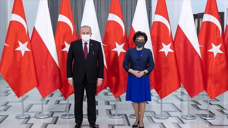 TBMM Başkanı Şentop Polonya Meclis Başkanı Witek ile görüştü