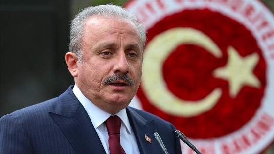 TBMM Başkanı Şentop: Türkiye'de yeni bir anayasa mutlaka yapılacak