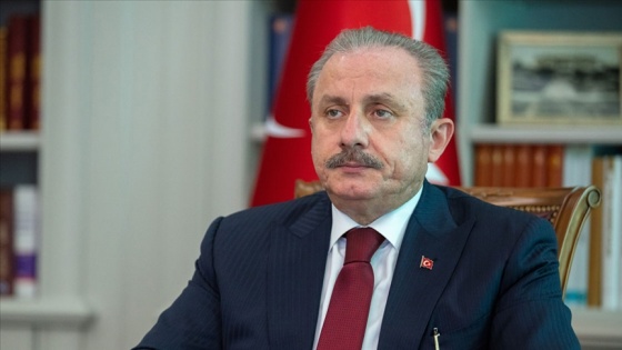 TBMM Başkanı Şentop: Türkiye, dünyada tesir gücüne sahip bir ülke