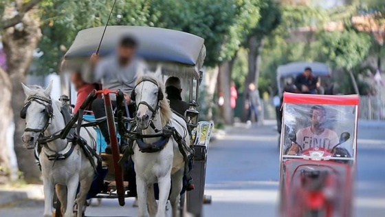 TBMM'den Adalar'daki fayton tartışmasına çözüm önerisi