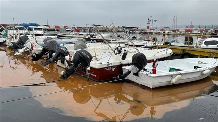 Tekirdağ balıkçı barınağında planktonlar denizin rengini turuncuya çevirdi