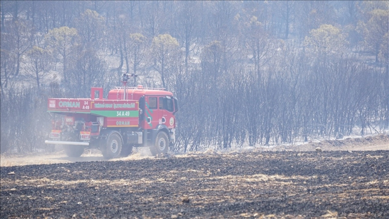 Tekirdağ'da çıkan orman yangınına havadan ve karadan müdahale ediliyor