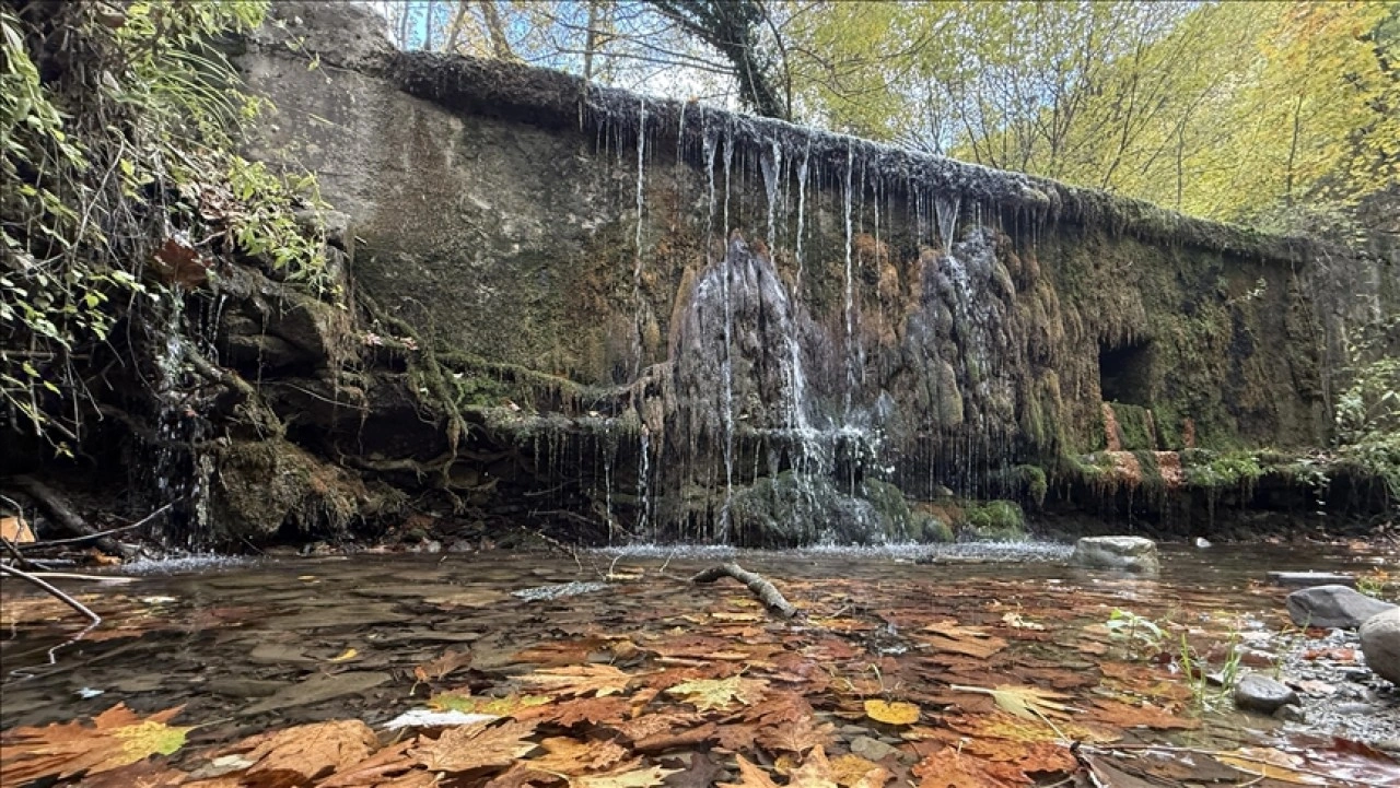 Tekirdağ'da sonbahar renklerine bürünen ormanlar doğa tutkunlarını bekliyor