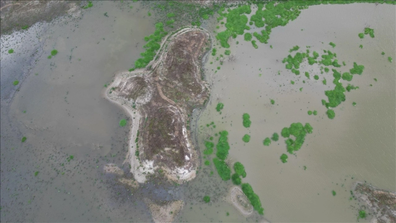 Tekirdağ'daki T&uuml;rkmenli G&ouml;leti'nde su kritik seviyeye geriledi