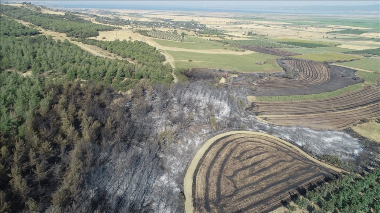 Tekirdağ'dan Çanakkale'ye sıçrayan yangında zarar gören alanlar dronla görüntülendi